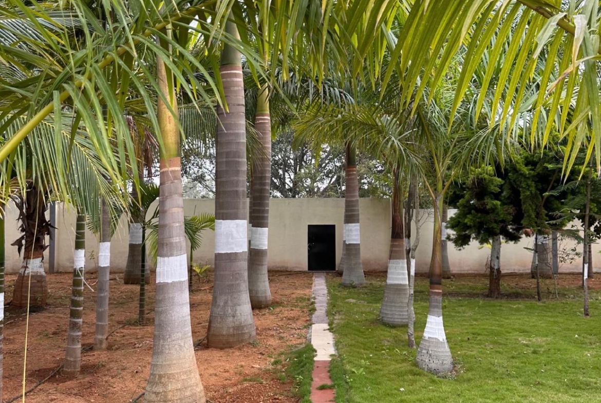 KMS Farmhouse Garden