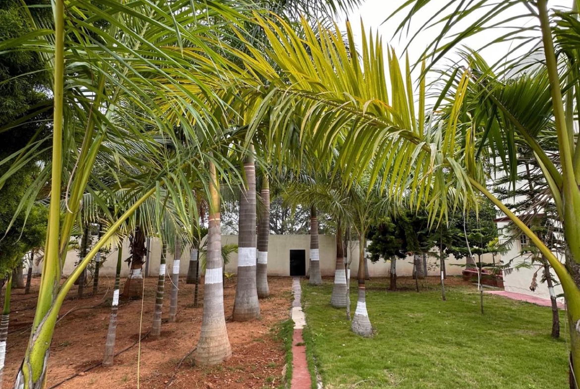 KMS Farmhouse Garden