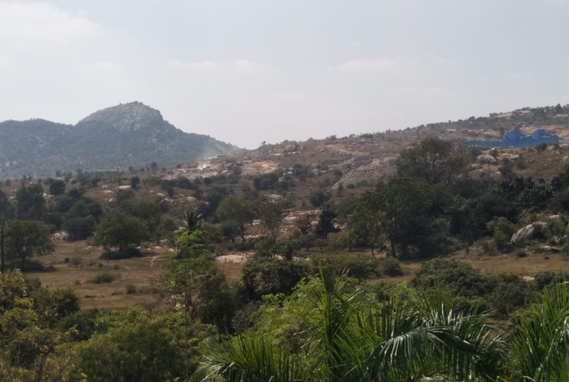 KMS Farmhouse Surroundings