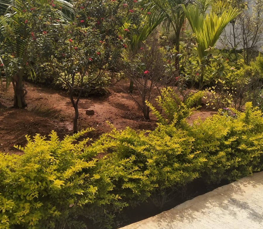 KMS Farmhouse Garden