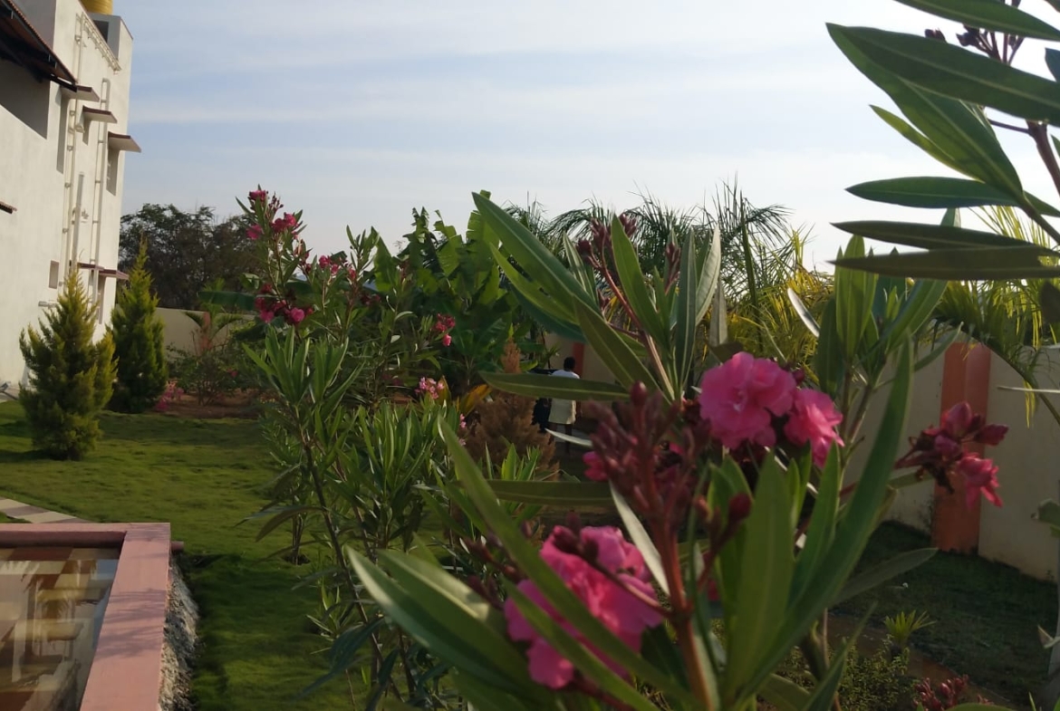KMS Farmhouse Garden